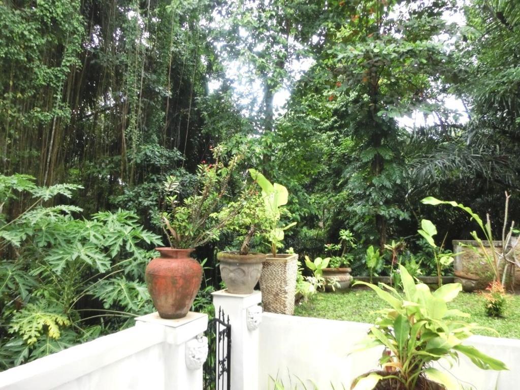 Latugu Homestay Ubud Chambre photo